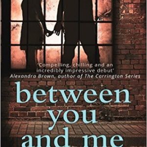 Between You and Me A Psychological Thriller with a Twist You Wont See Coming Review