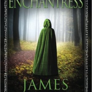 Enchantress The Evermen Saga Review
