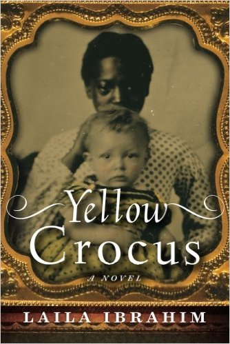 Yellow Crocus Review