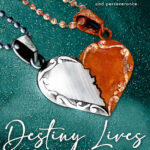 DESTINY LIVES ON FAIRHAVEN STREET FINAL COVER IMAGE DESTINY-LIVES-ON-FAIRHAVEN-STREET-FINAL-COVER-IMAGE